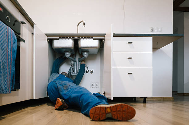 Professional Plumbing technician working in Viola, DE